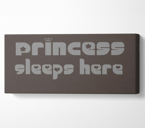 Princess sleeps 2 Chocolate