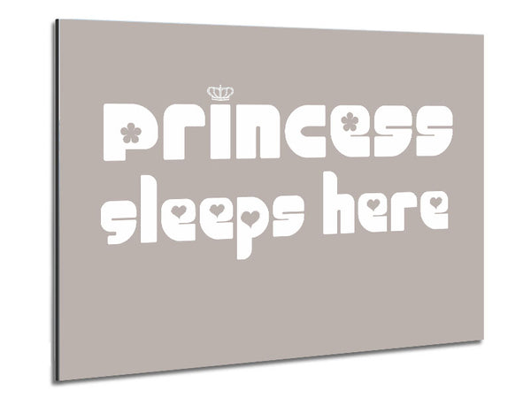 Princess sleeps 2 Beige Metal Print