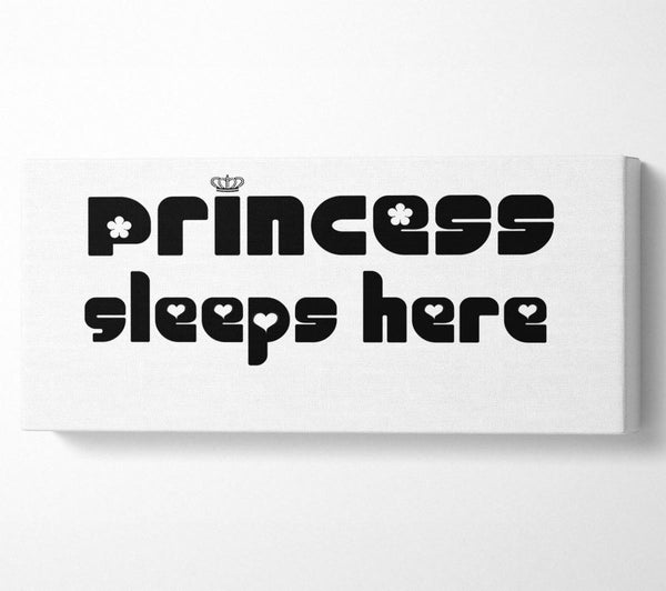 Princesss Sleeps Here 2 White