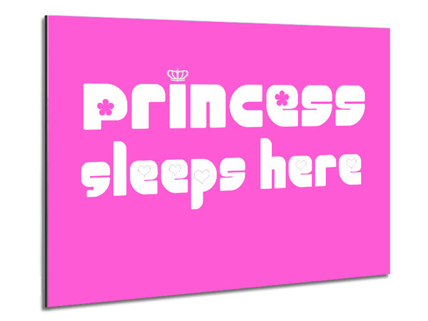 Girls Room Quote Princesss Sleeps Here 2 Vivid Pink Metal Print