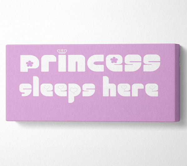 Princesss Sleeps Here 2 Pink