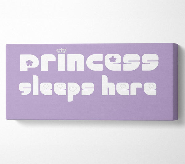 Princesss Sleeps Here 2 Lilac