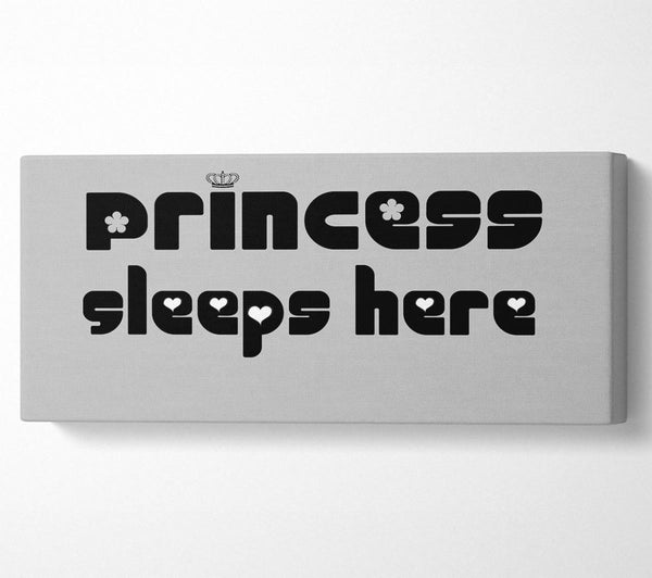 Princesss Sleeps Here 2 Grey
