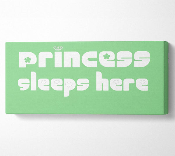 Princesss Sleeps Here 2 Green