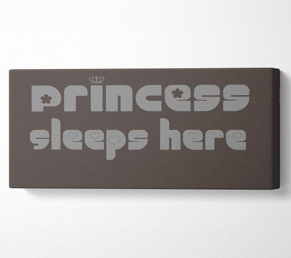 Princesss Sleeps Here 2 Chocolate