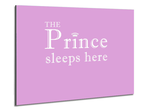 Nursery Quote The Prince Sleeps Here Pink Metal Print