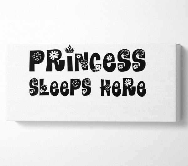 Princesss Sleeps Here White