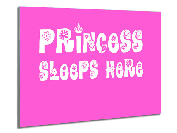 Nursery Quote Princesss Sleeps Here Vivid Pink Metal Print