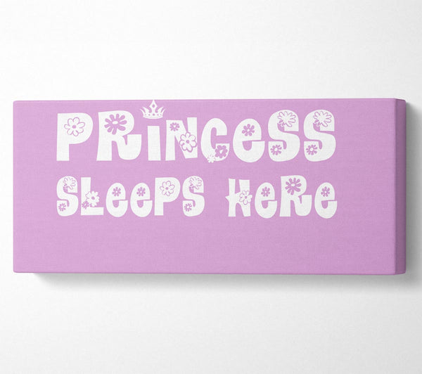 Princesss Sleeps Here Pink