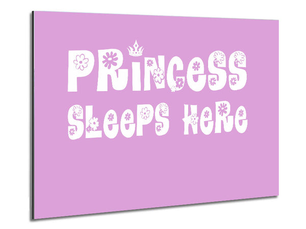 Princesss Sleeps Here Pink Metal Print