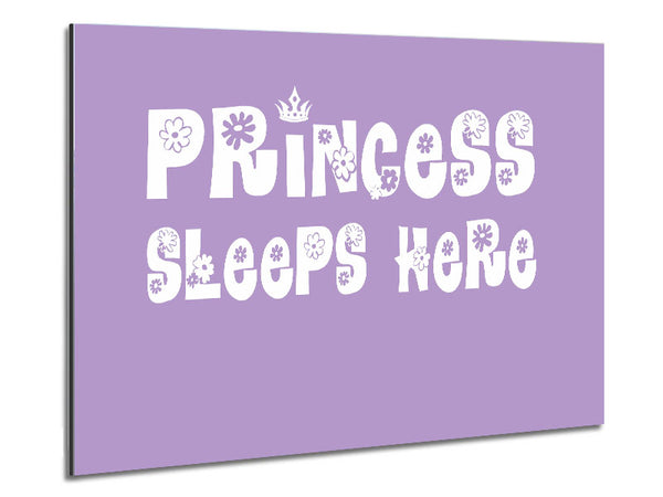 Nursery Quote Princesss Sleeps Here Lilac Metal Print