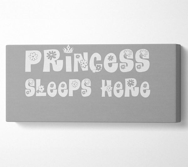 Princesss Sleeps Here Grey White