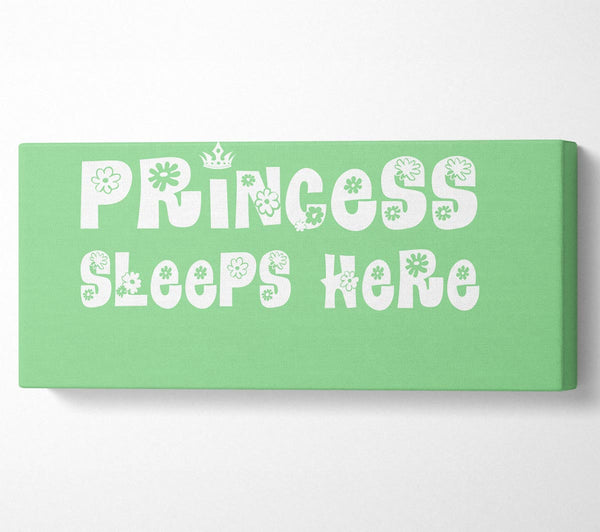 Princesss Sleeps Here Green