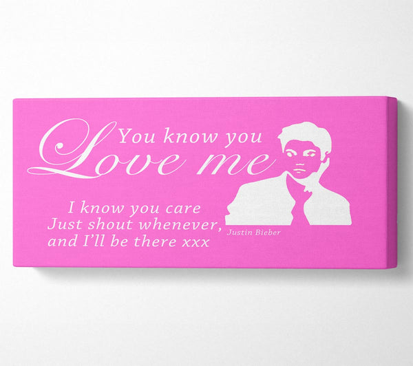Music Quote You Know You Love Me Justin Bieber Vivid Pink
