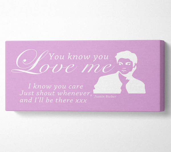 Music Quote You Know You Love Me Justin Bieber Pink