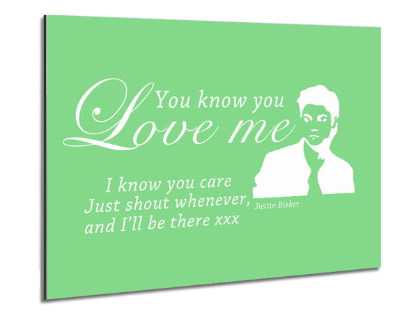 Music Quote You Know You Love Me Justin Bieber Green Metal Print