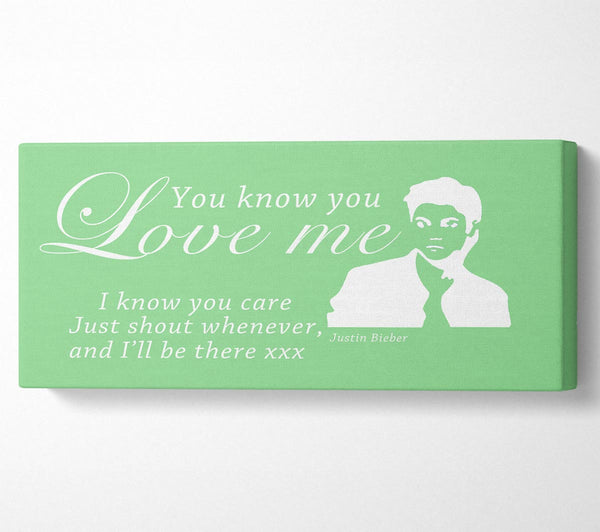 Music Quote You Know You Love Me Justin Bieber Green