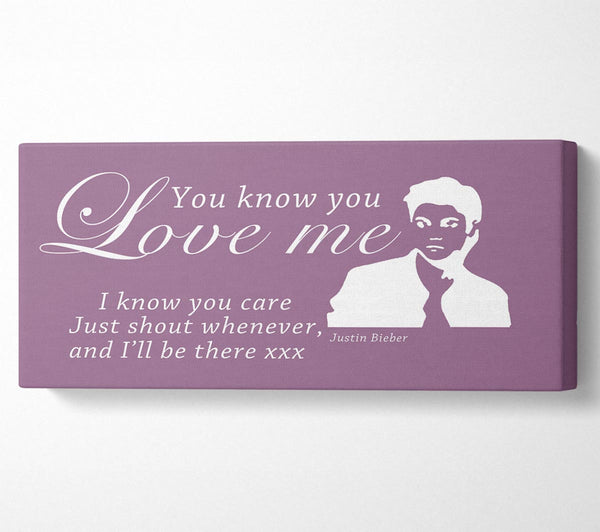 Music Quote You Know You Love Me Justin Bieber Dusty Pink
