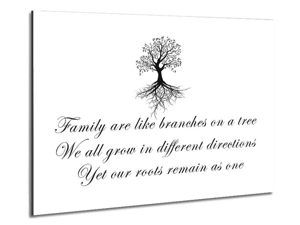 Family Quote Family Are Like Branches White Metal Print