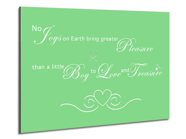 Boys Room Quote No Joys On Earth Bring Pleasure Green Metal Print
