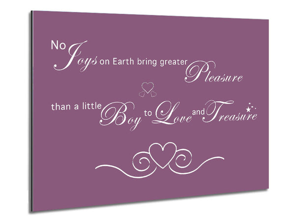 Boys Room Quote No Joys On Earth Bring Pleasure Dusty Pink Metal Print