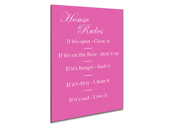 House Rules 2 Vivid Pink Metal Print
