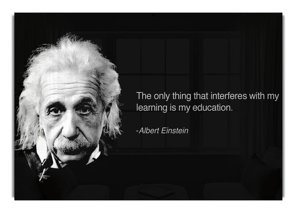 Albert Einstein Bildung