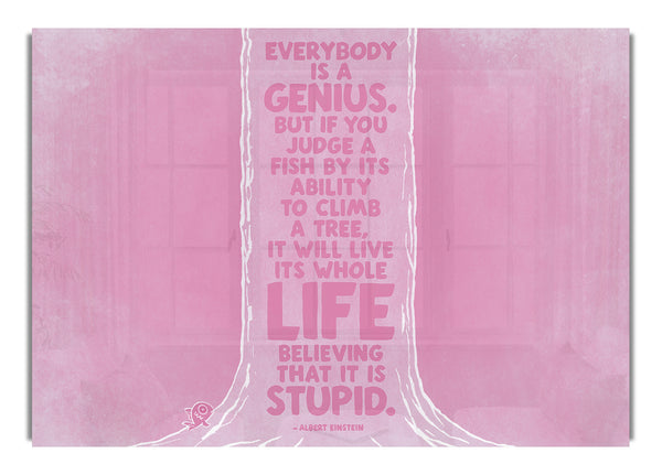 Albert Einstein Jeder ist ein Genie Pink