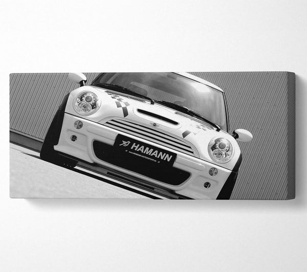 White Mini Front Profile