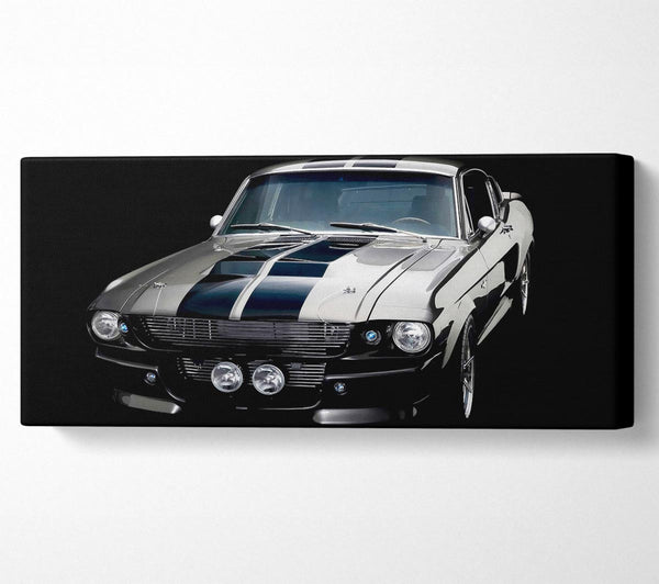 Mustang Stripes