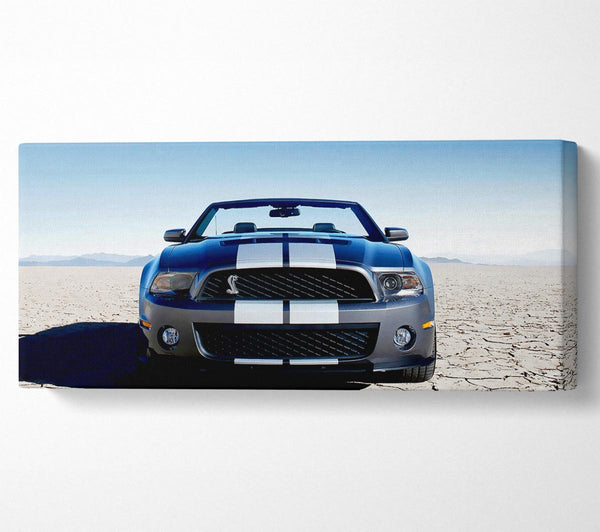 Mustang Shelby Front Profile