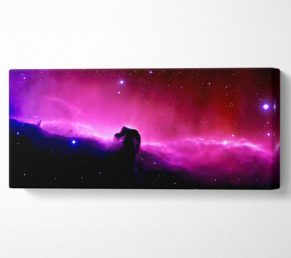 The Stunning Horsehead Nebula