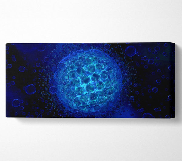 Ocean Planet