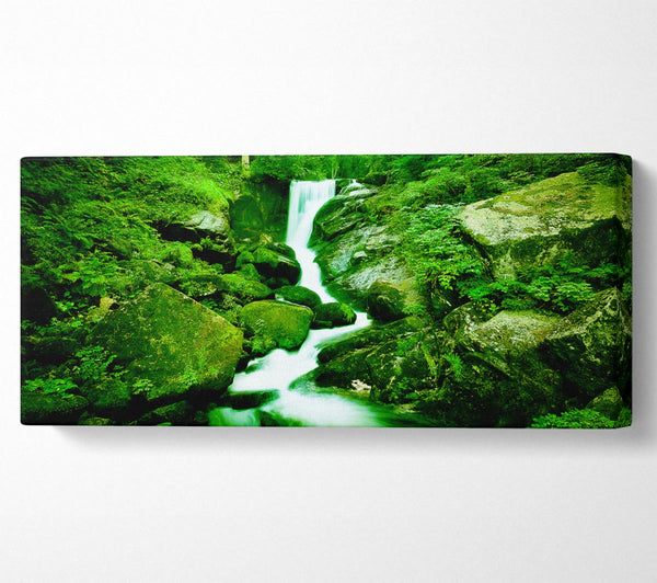 The Rocks In The Forest Stream