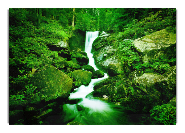 The Rocks In The Forest Stream