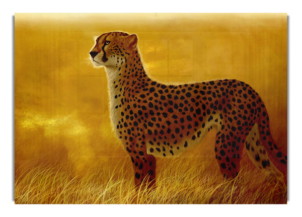 Afrikanischer Gepard