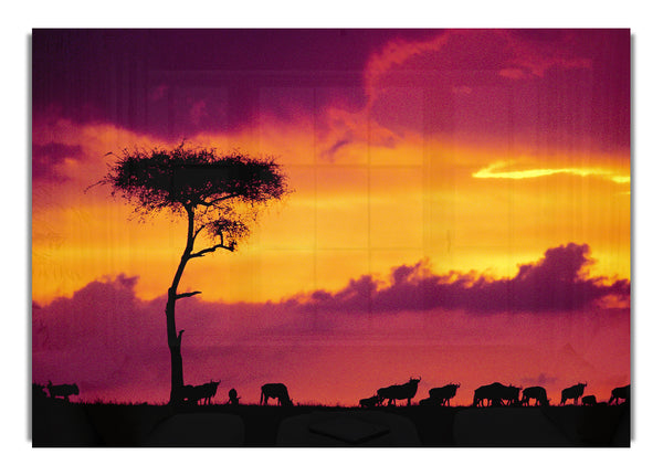 Afrikanischer Safari-Sonnenuntergang