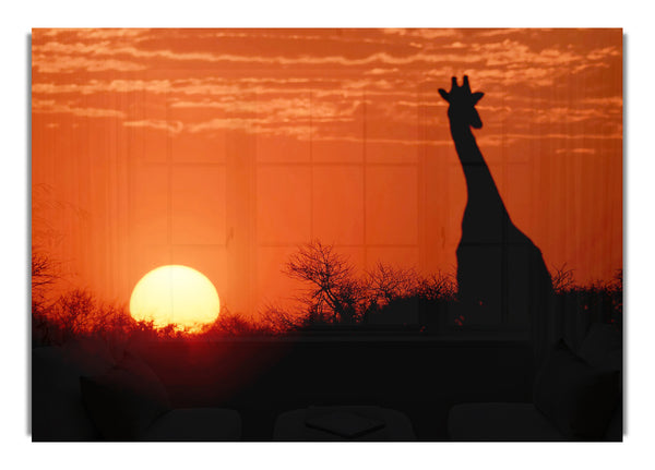 Afrikanische Sonnenuntergang-Giraffe