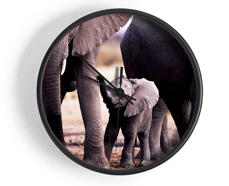 Baby Elephant Love Clock - Wallart-Direct UK