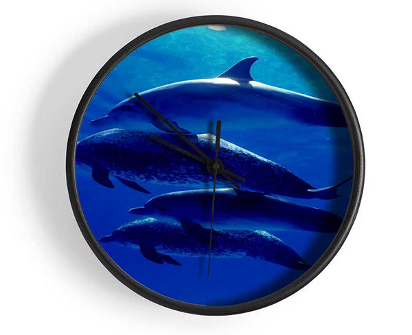 Dolphin Family Clock - Wallart-Direct UK