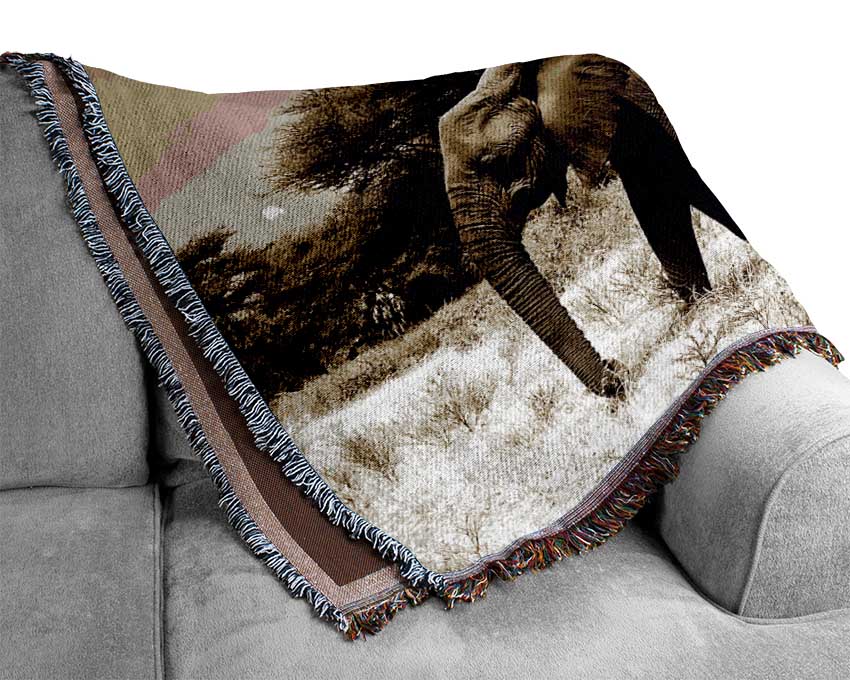 Elephant Family Woven Blanket