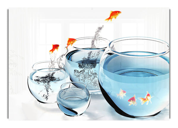 Fische und Aquarien