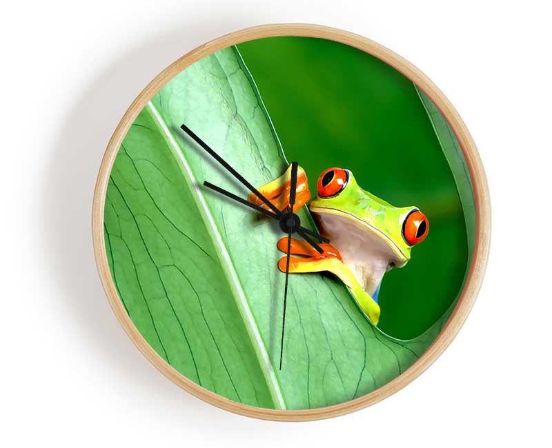 Frog Clock - Wallart-Direct UK