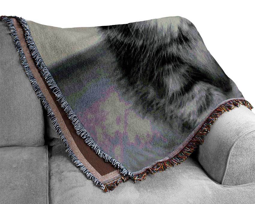 Funny Kitten Woven Blanket