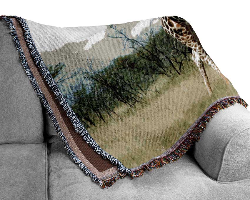 Giraffe In The Wilds Of Namibia Woven Blanket