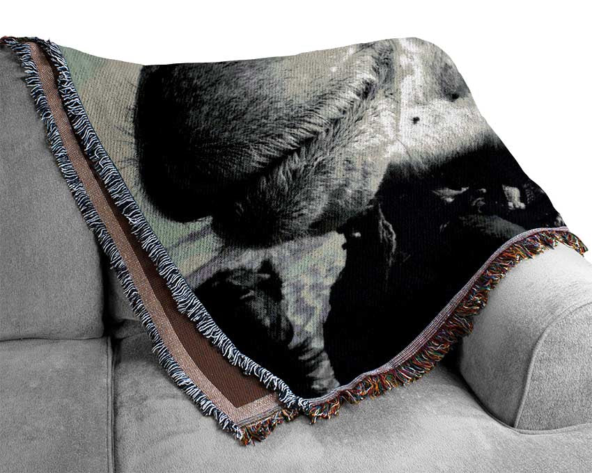 Heres Looking At You Camel Woven Blanket