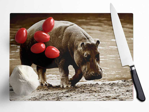 Hippopotamus Bath Glass Chopping Board