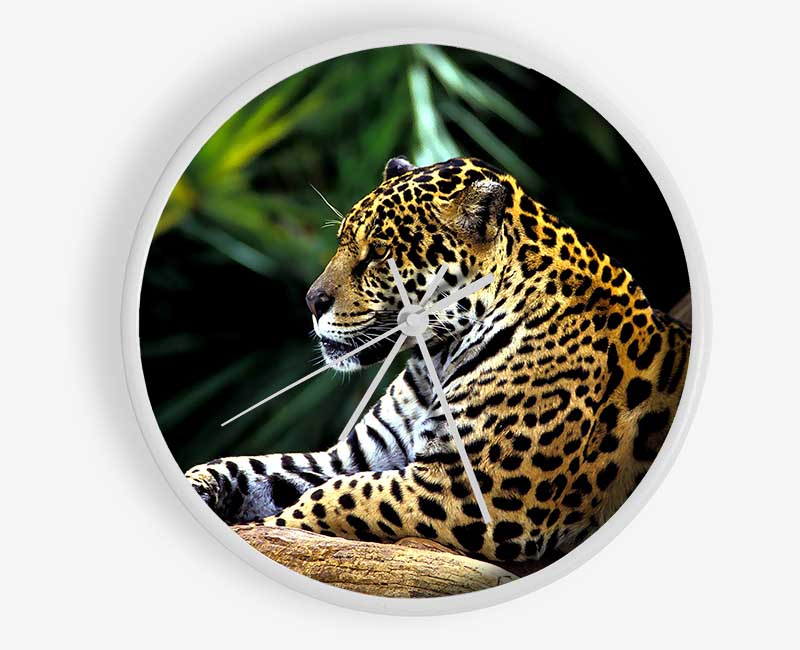 Jaguar In The Amazon Rainforest Clock - Wallart-Direct UK