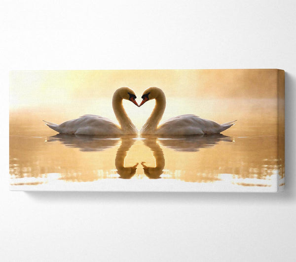Loving Swans