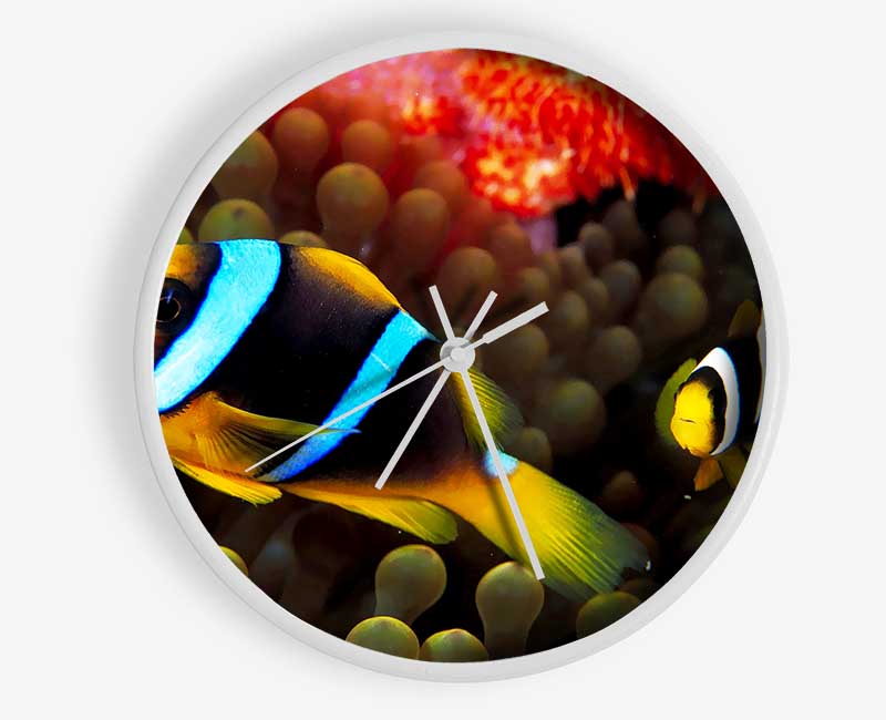 Neon Clown Fish Clock - Wallart-Direct UK